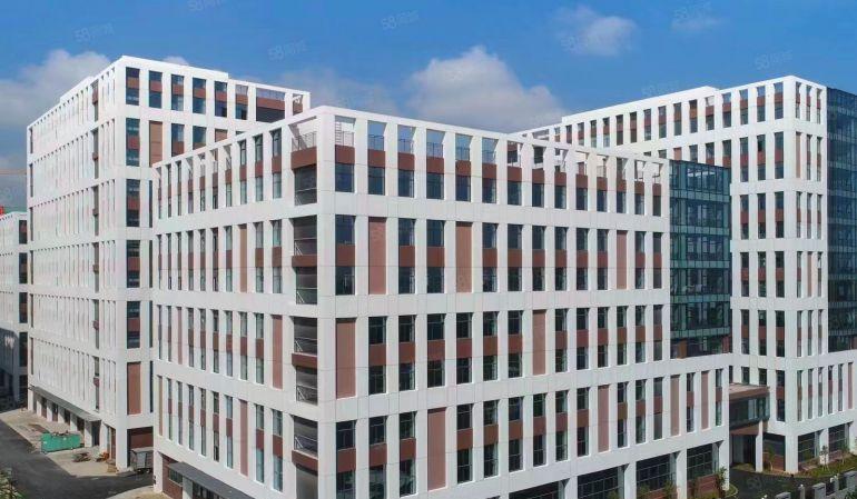 10元起租，5吨货梯，原房东2610平整层全新厂房出租