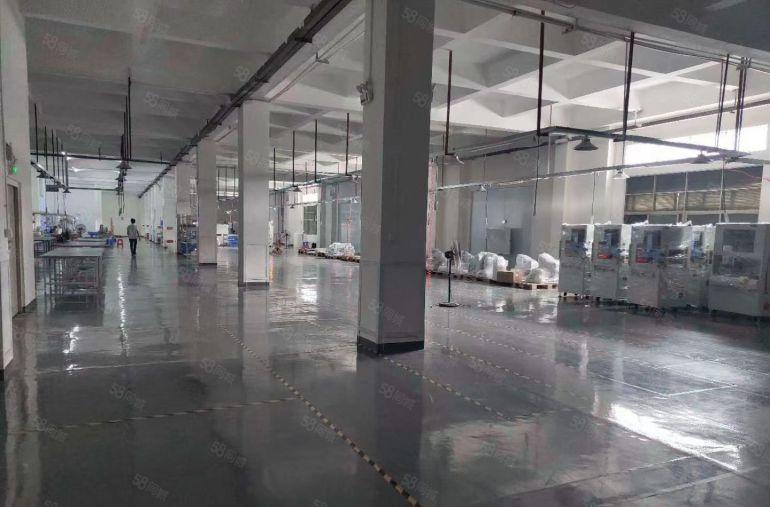 凤岗金凤凰原房东一楼1200平方厂房出租