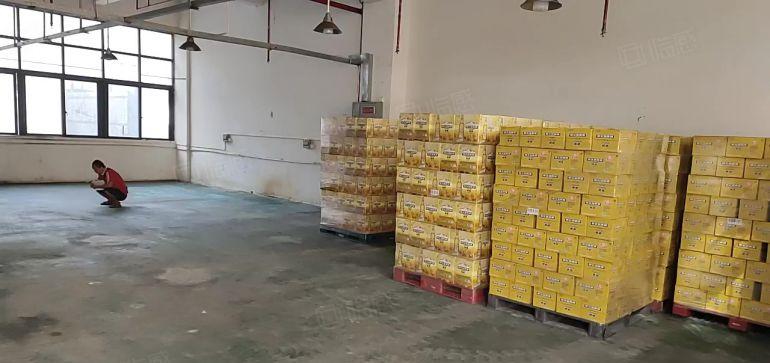 凤岗金凤凰标准一楼沿街500平租金24可谈，机加工，物流仓库