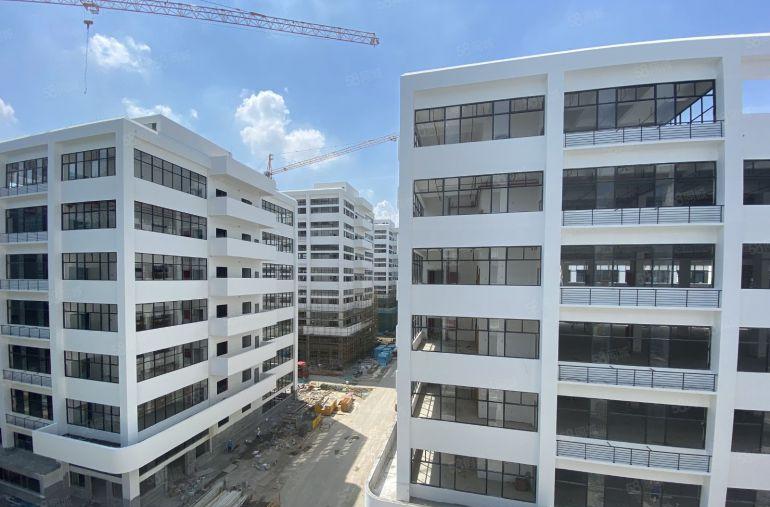万江新村政府项目 中创汇智盈科技园 全新高标厂房1200低价