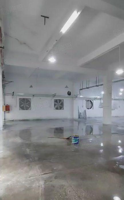 万江靠道滘1500平米一手房东独院厂房出租，价格14元平米