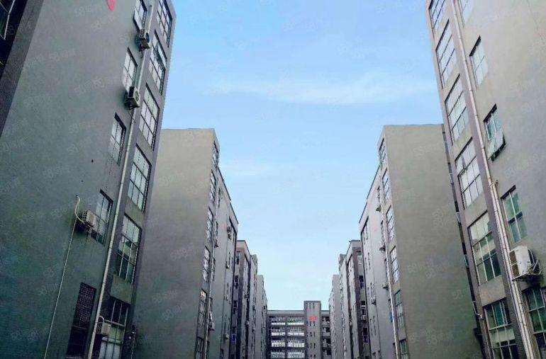 工业聚集区1楼825平方水电齐全带有办公室卸货平台环评包过