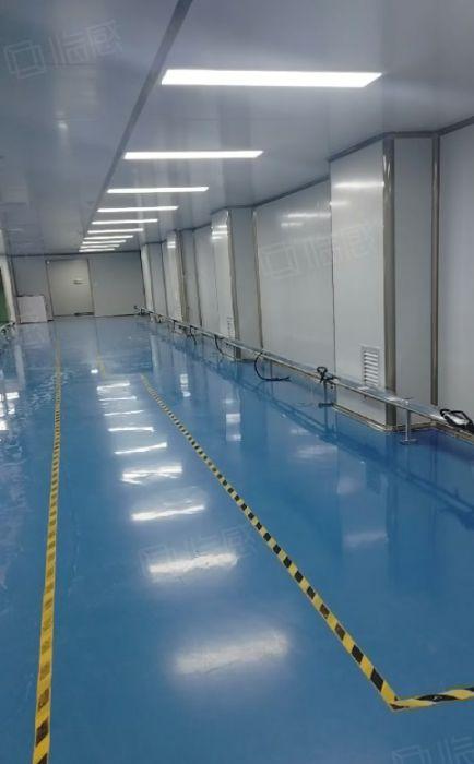 大朗新出独院带防尘车间现成办公室厂房，靠近大马路空地大