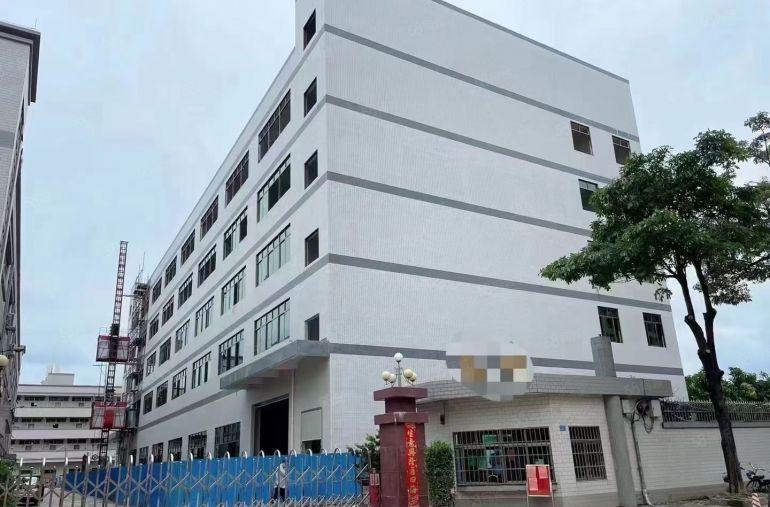 大朗17元的标准一楼来了