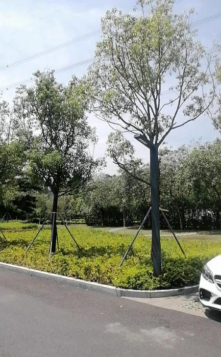 松山湖大量带装修独栋或平层厂房300至3万方出租！