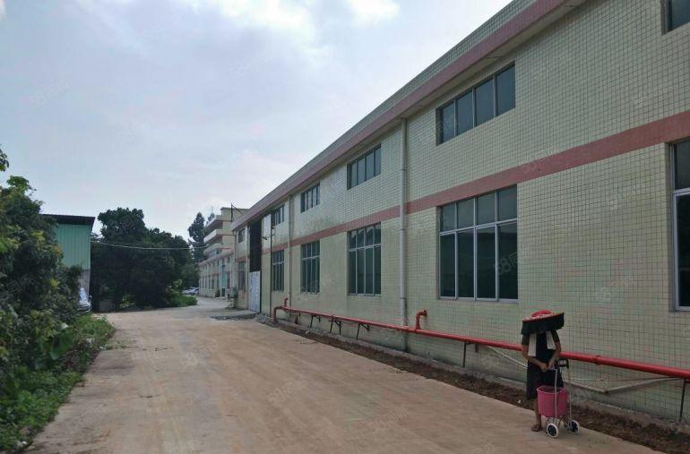 大朗镇靠黄江单一层砖墙到顶7米高厂房1500出租