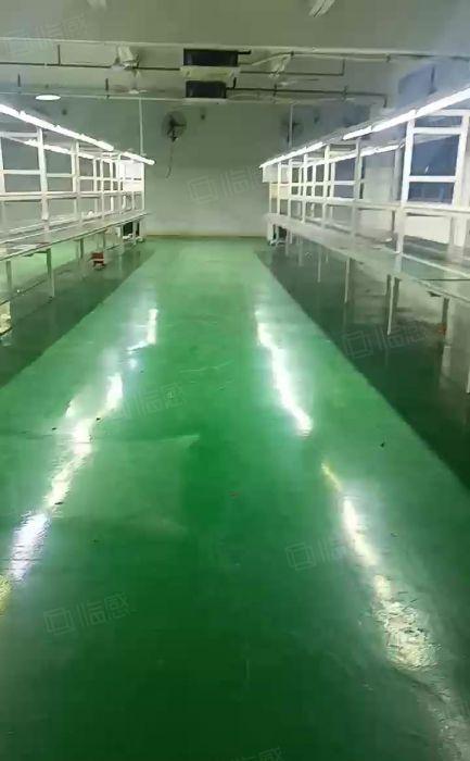 黄江梅塘新出3楼1500平，现成办公室水电到车间，价格便宜，
