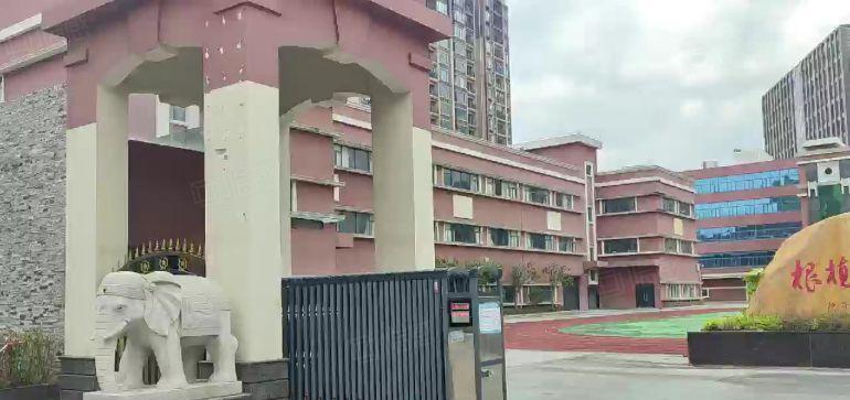 大岭山镇学院风厂房一楼，精装办公室地坪漆，超大空地特价15元