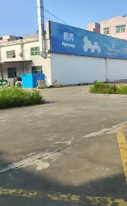 台湾人房东钢钩单一层独院无公摊 超大空地5000平免费使用