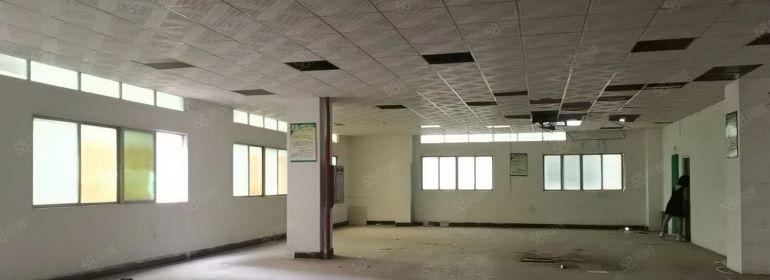 石碣独院一楼分租适合模具厂机械加工厂自动化设备厂