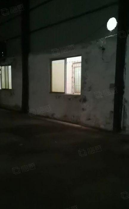 石碣工业园区！单一层厂房800平方，滴水七米。15000全包