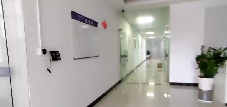 低价清溪青湖工业区标准一楼厂房出租2800平实际面积可分租