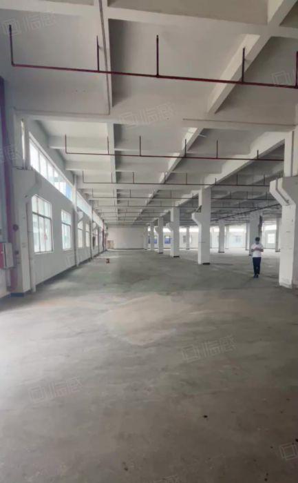 清溪三中原房东独院厂房出租一楼11块每平方，免租期超长