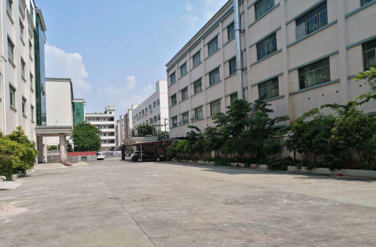清溪三中独门独院8000平厂房出租9块钱起租空地大仓库低价出