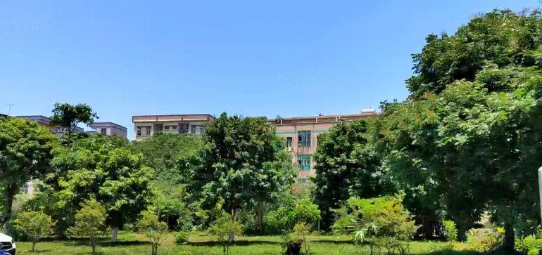 东莞清溪大利新出滴水13米单一层6400平低价厂房出租可分租
