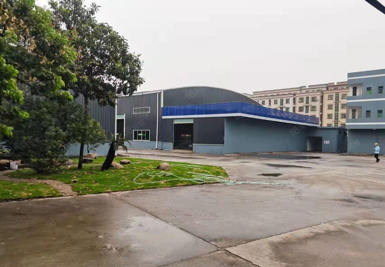 沙田2000平方单一层厂房出租，滴水8米 工业用地，空地大，