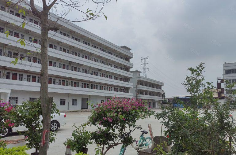中堂镇原房东标准独院厂房大小分租现成装修实际面积出租工业用地