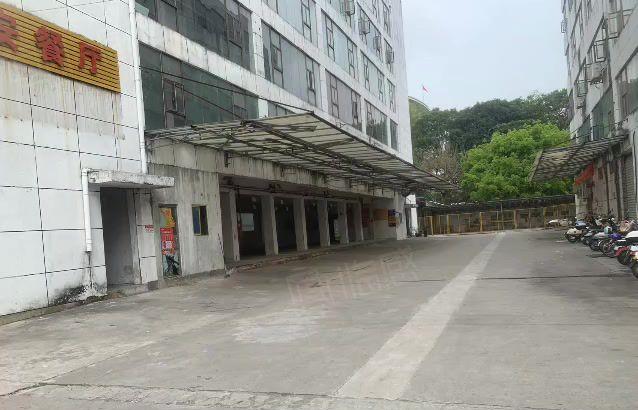中堂江南标准厂房和钢构滴水10米厂房出租
