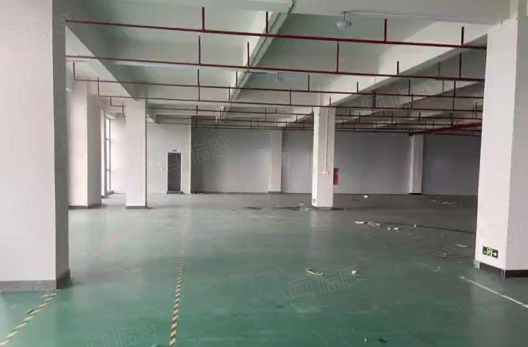 中堂鹤田新出标准楼房，房东低价甩租