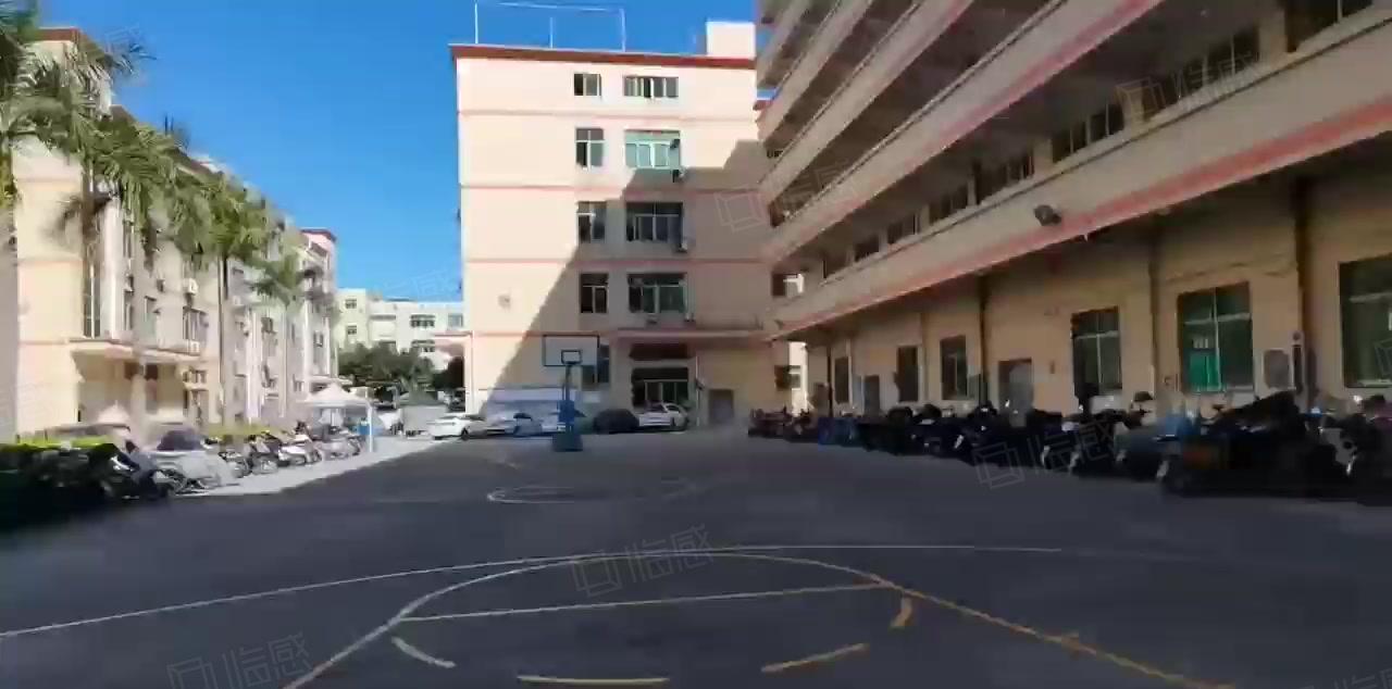 房东出租福永和平2楼1000平方