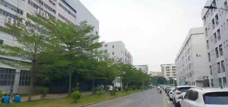 福永塘尾原房东带红本独院14000平米厂房低价出租可办环评