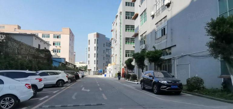 100平起租石岩原房东一楼二楼各1000平带装修厂房仓库出租