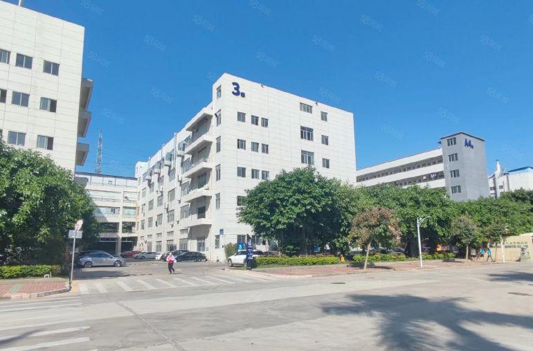 福永新和沿江高速旁原房东一楼500平方厂房仓库超大空地出租