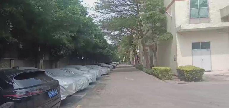 沙井沙一新出原房东层高6米一楼500方起租可做仓储物流