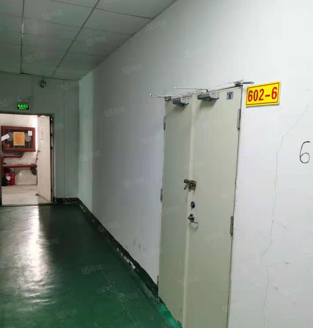 （兴东）洪浪北地铁口有225平装修厂房仓库出租