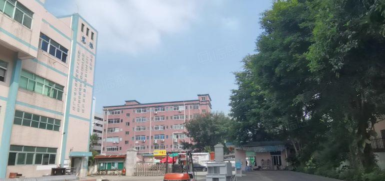 沙井西环路九九工业区15000平独门独院红本厂房低价出租