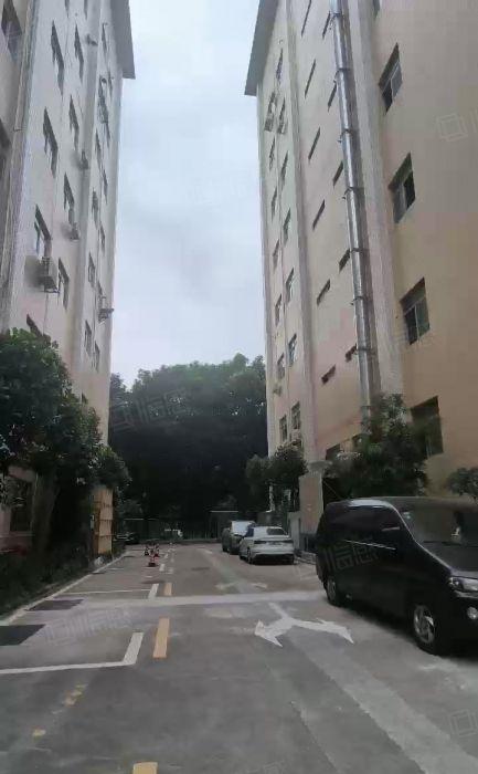 沙井地铁口300平起大型园区高使用率适合电子芯片贸易