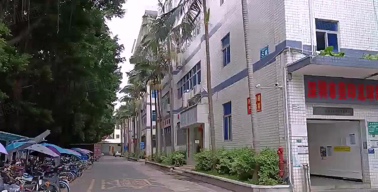 空地超大石岩新空出原房东园区厂房一楼380平出租形象好