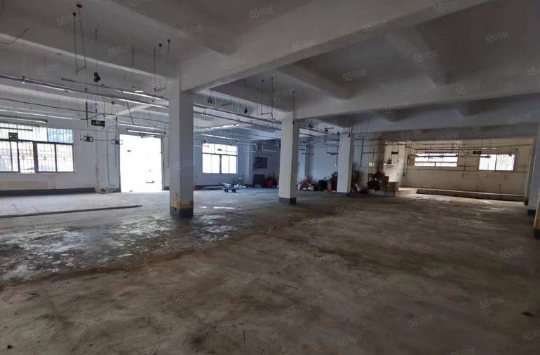 原房东西乡固戍一楼500平出租