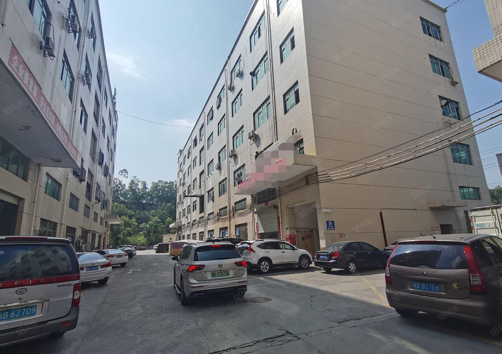 松岗洪桥头工业区原房东实际面积四楼精装修办公室全新地坪漆车间