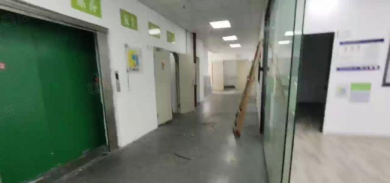 直租，固戍原房东1250平，精装修结净车间厂房出租，水电齐全
