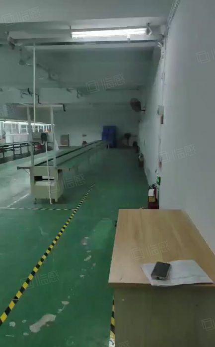 西乡房东直租，电改园区，450平现成电子厂房，带豪华装修