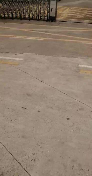 沙井街道新和大道边共和附近原房东红本独院厂房一楼630平方出