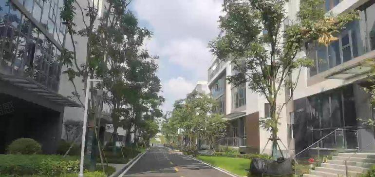 宝安中心区50平起办公室出租精装修带家私空调拎包办公