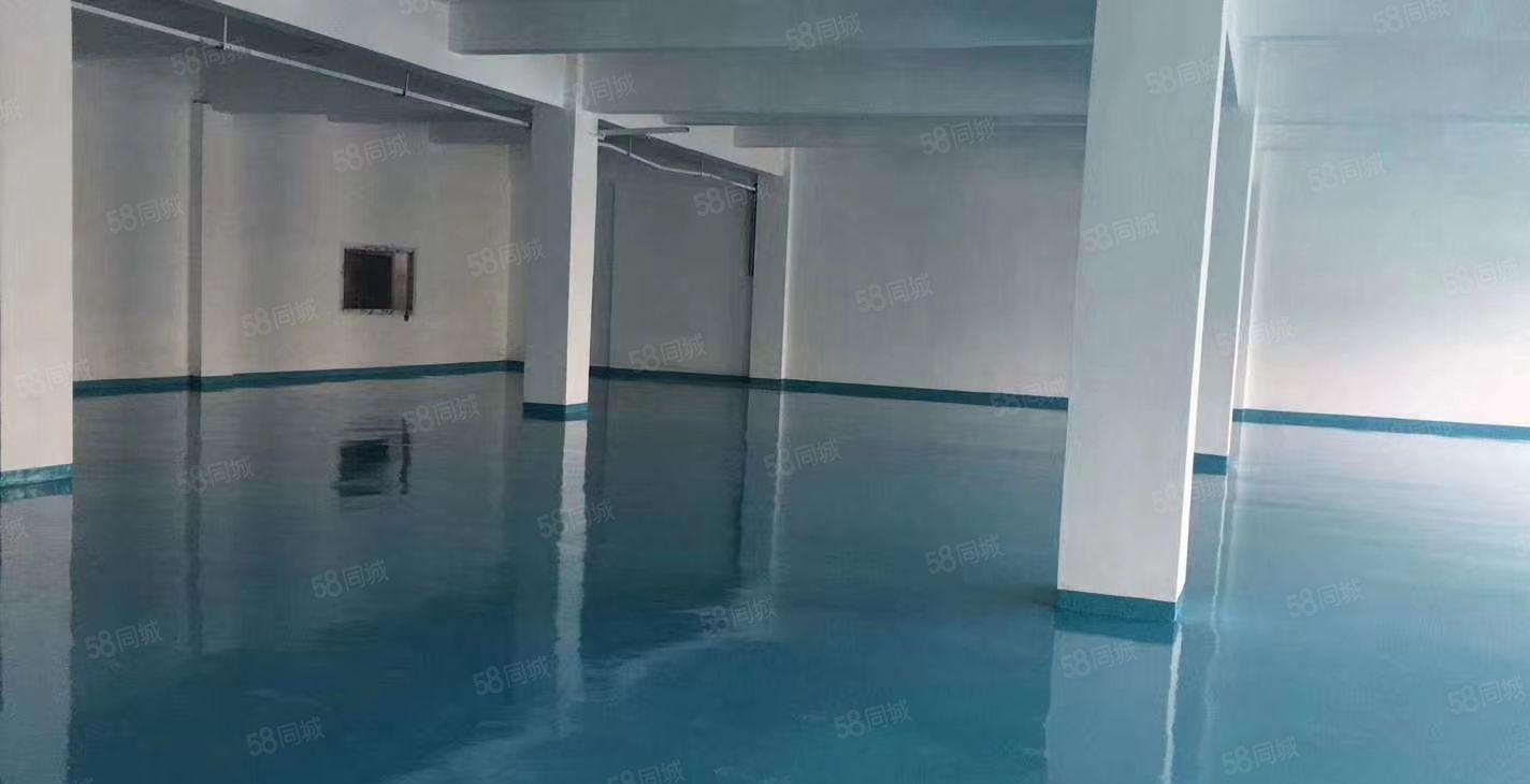 福永凤凰厂房500带装修出租