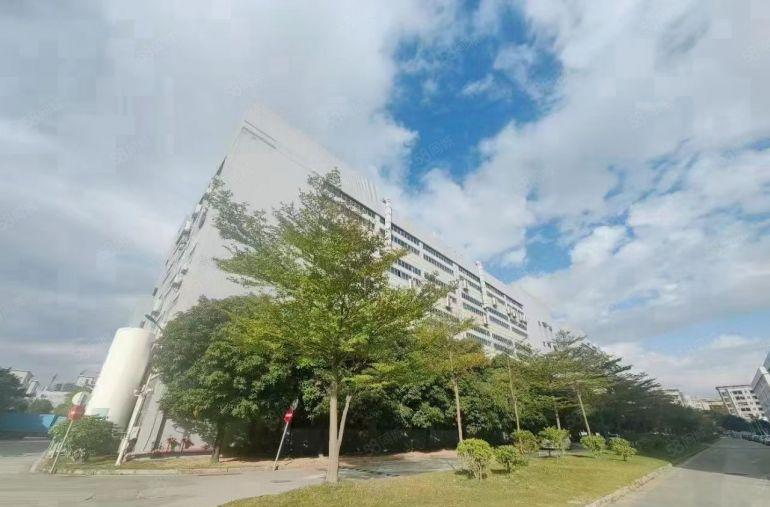 洪田共和3万平方大型工业园红本厂房低价出租 500平起租