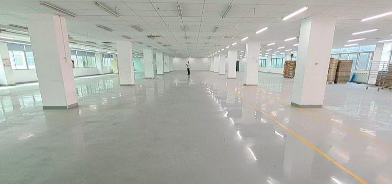 使用率高沙井工业园原房东直租500至2000平方厂房仓库出租