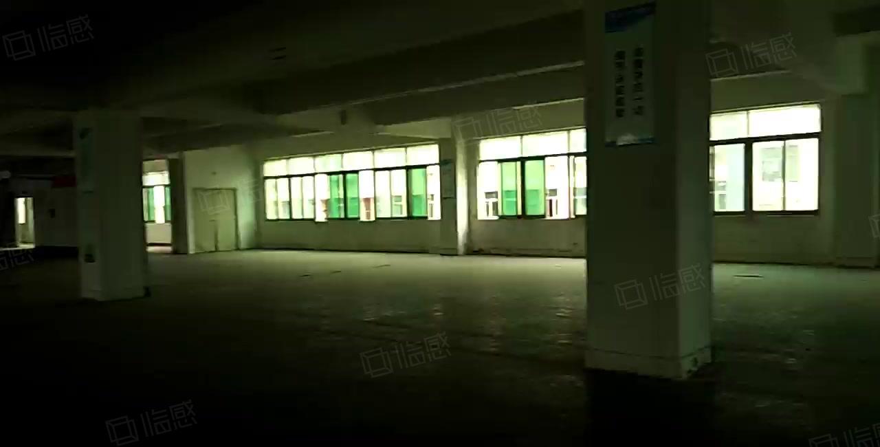 西乡富源工业城楼上整层精装修2300平，有前台！