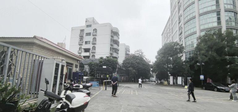 宝安新安国资委直租300到5000平大小分租研发电商仓库厂房