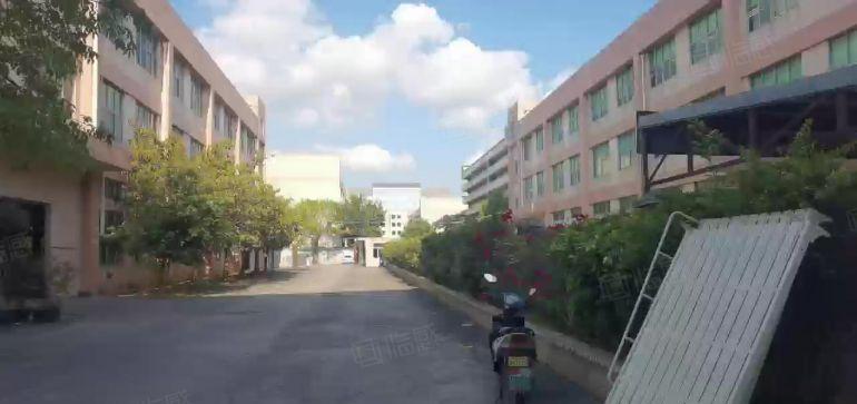 1500平松岗无尘车间厂房出租带装修千级过环评领包入住低价招