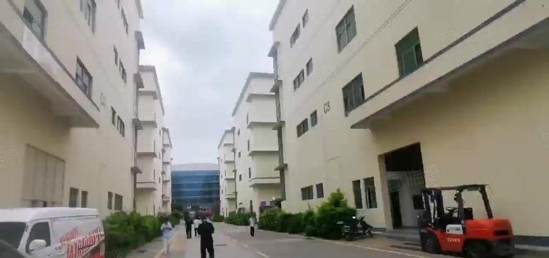 福永和平1500平楼上精装修低价厂房出租仓库分租原房东好停车