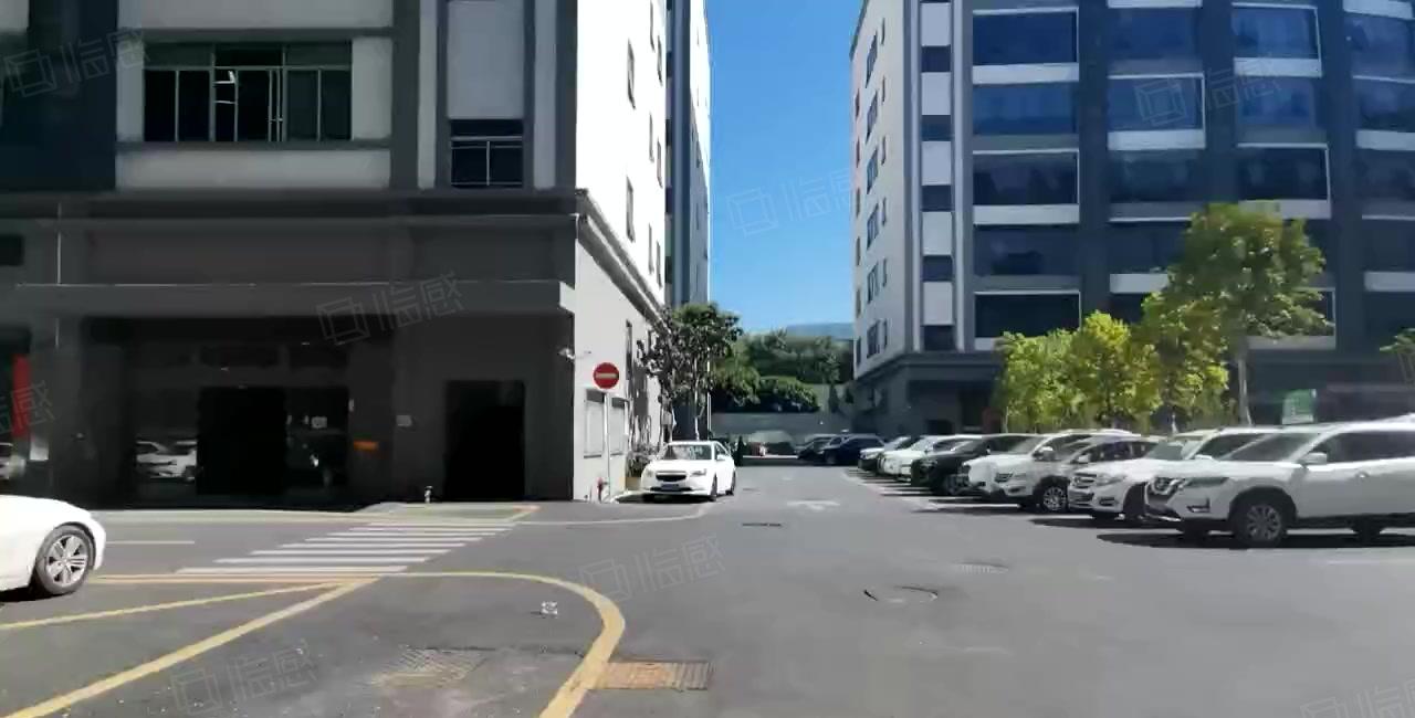 松岗碧头厂房出租500平起工业园区整租分租电商贸易仓库一楼
