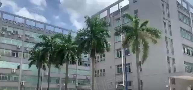 福永和平原房东大型工业区5000平厂房出租 园区空地大可分租