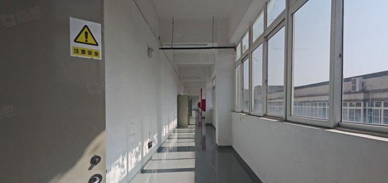 松岗工业园区独门独院厂房出租一楼精装修办公仓库大小可分租