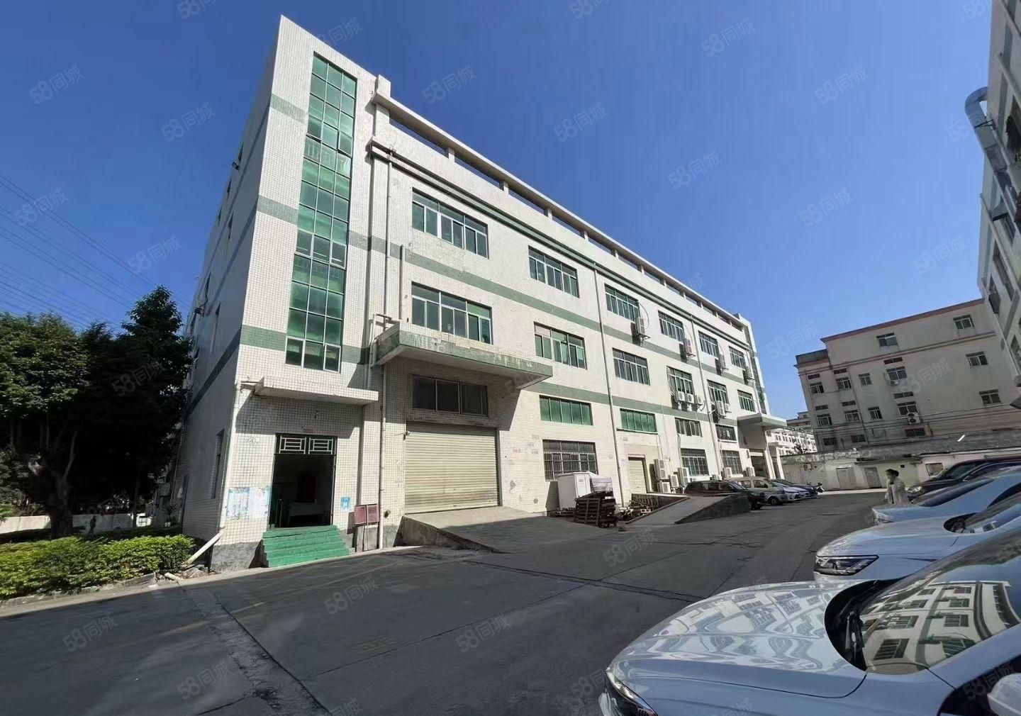 沙井独栋三楼2400平方出租可分租