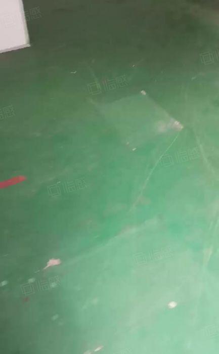 新桥高速原房东带红本带航车办公室装修一楼整层出租1600平